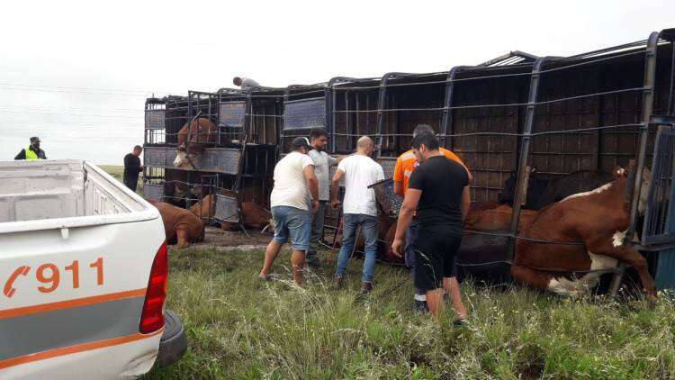 Un milagro evitó la tragedia: se distrajo y volcó su camión