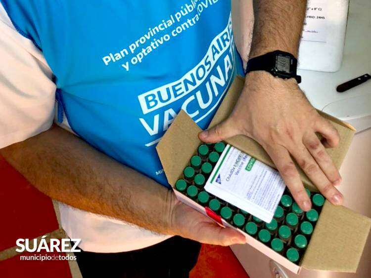 Vacunate Suárez: más dosis de vacunas contra COVID-19