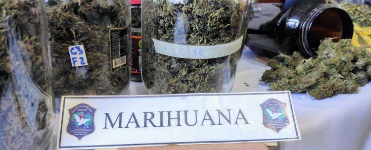 Drogas ilícitas delegación Bahía Blanca