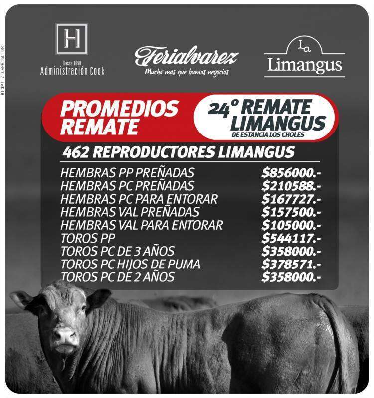 Resultados del 24º remate Limangus de Estancia Los Choles