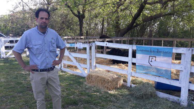 La Bellaca obtuvo el Gran Campeón Hembra PP y Gran Campeón Macho PP