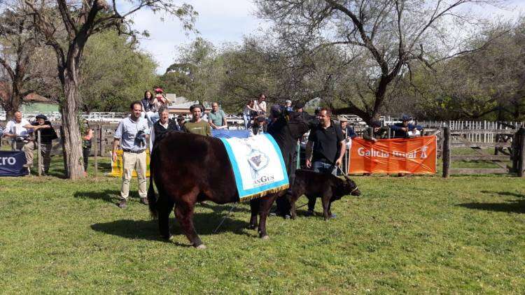 La Bellaca obtuvo el Gran Campeón Hembra PP y Gran Campeón Macho PP