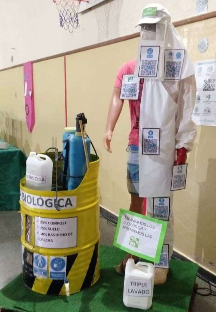 Una  escuela de Saavedra ganó un concurso nacional entre 130 proyectos