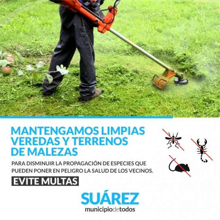 Mantengamos limpias veredas y terrenos de malezas