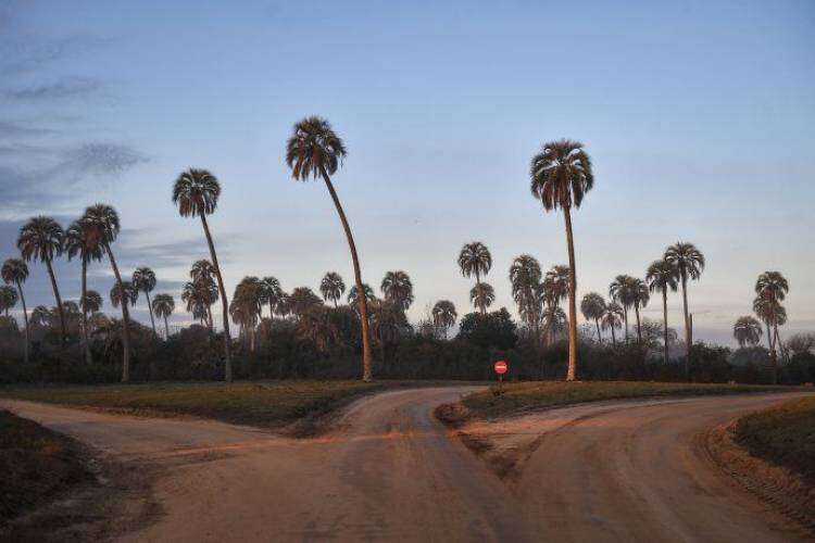 Vacaciones: cuáles son los requisitos de ingreso a cada provincia