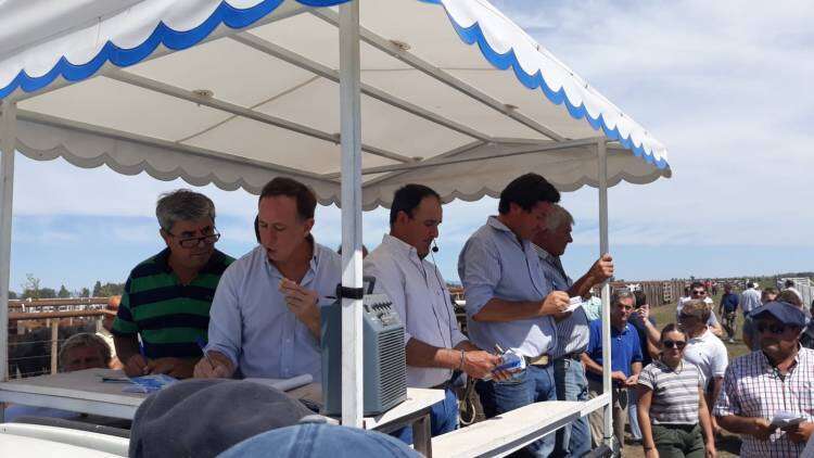 José Alonso: "tenemos atrás la generación que nos sigue"