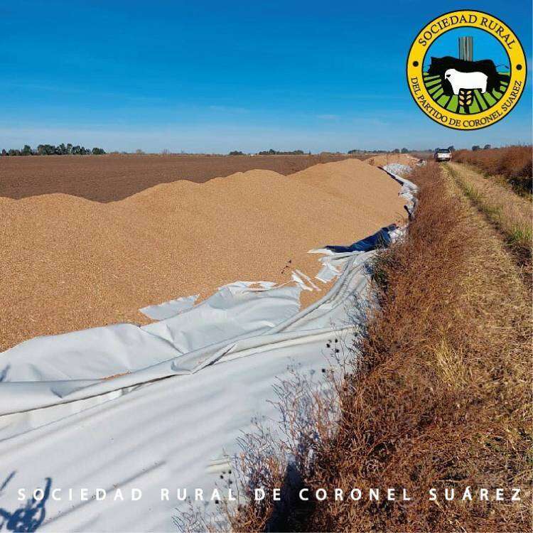 La Sociedad Rural de Cnel. Suarez repudia las roturas de silo bolsas