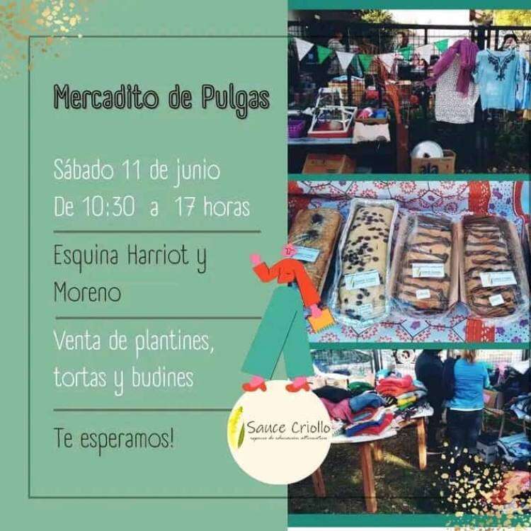 Mercadito de pulgas - Sauce Criollo