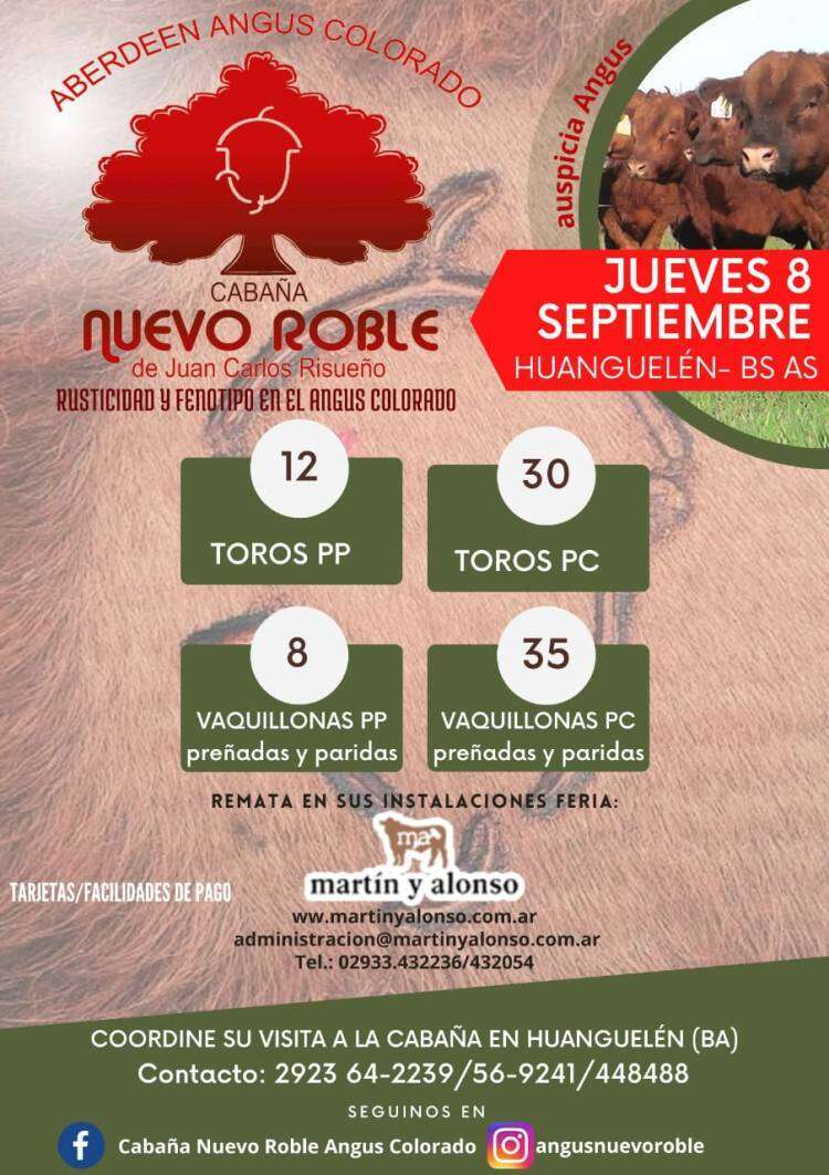 Remate de Angus Colorado en Huanguelén