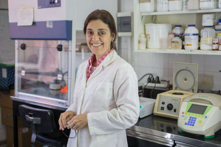 Una investigadora del CONICET diseñó una cepa viral que permitiría erradicar la leucosis bovina