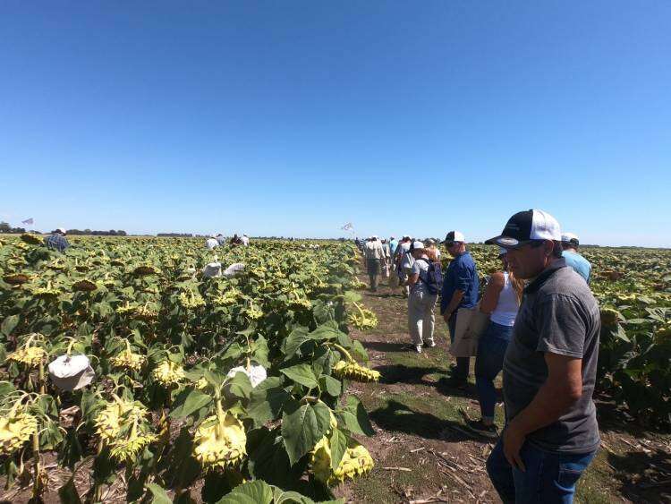 Jornada de Campo de Criadero El Cencerro