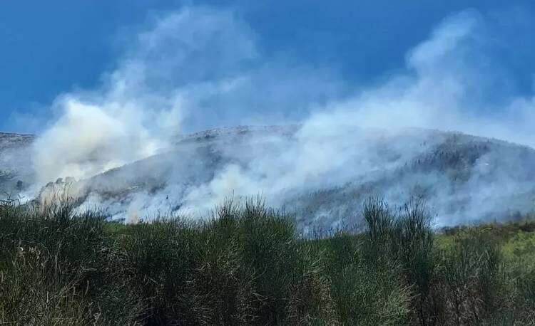 Bomberos de Sierra de la Ventana afirman que “el incendio está controlado”
