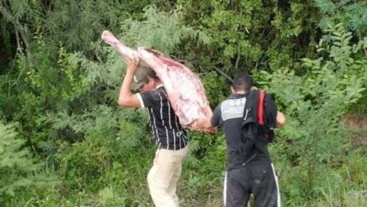 Un camión frigorífico volcó y vecinos se llevaron 11.000 kilos de carne