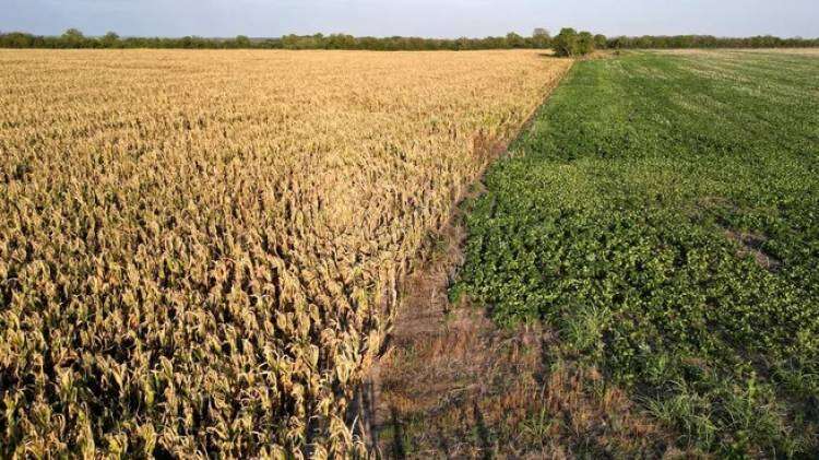 Gobierno anticipa medidas para el campo y no descarta modificar el esquema de retenciones 