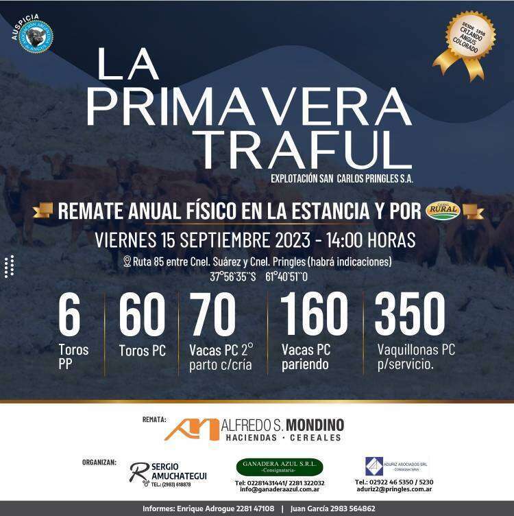 Remate de La Primavera Traful en Estancia San Carlos