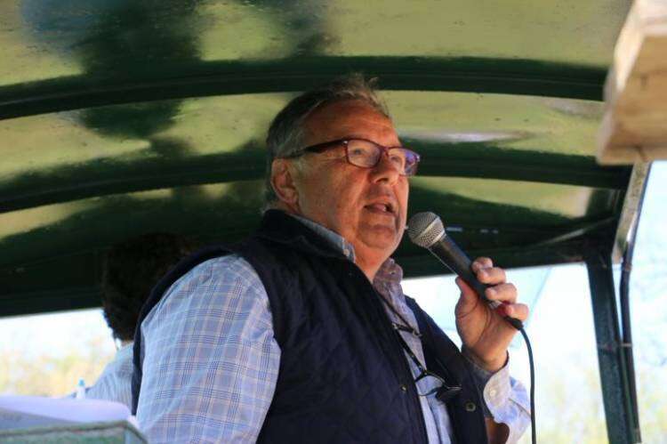 Valores del remate de la Exposición Rural 2023