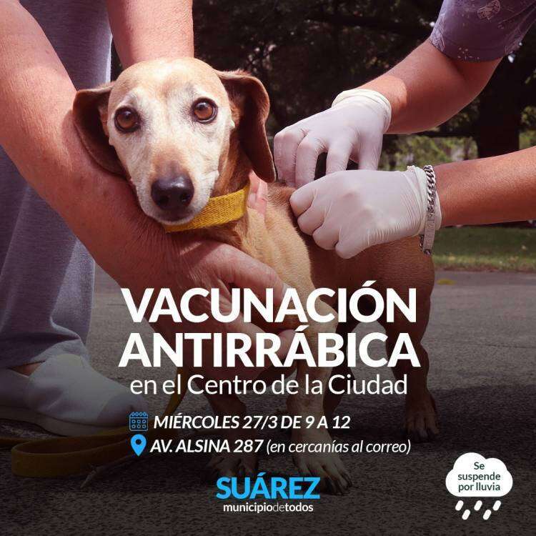 Campaña de vacunación antirrábica en el centro de la ciudad