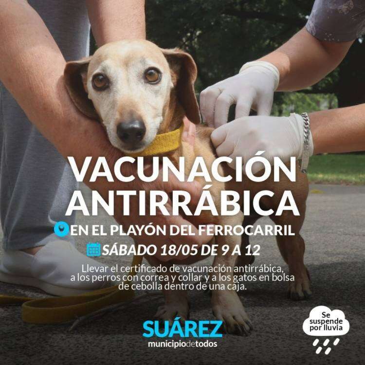 Campaña de vacunación antirrábica en el playón del ferrocarril