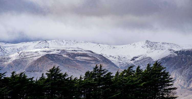 Belleza natural.  Éste jueves nevó en la Comarca Serrana 