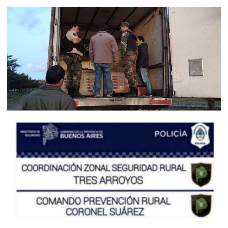 Decomisaron 68 kg de carne al comercio La Central Abigail 