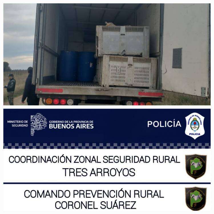 Decomisaron 20.000 kg de menudencias