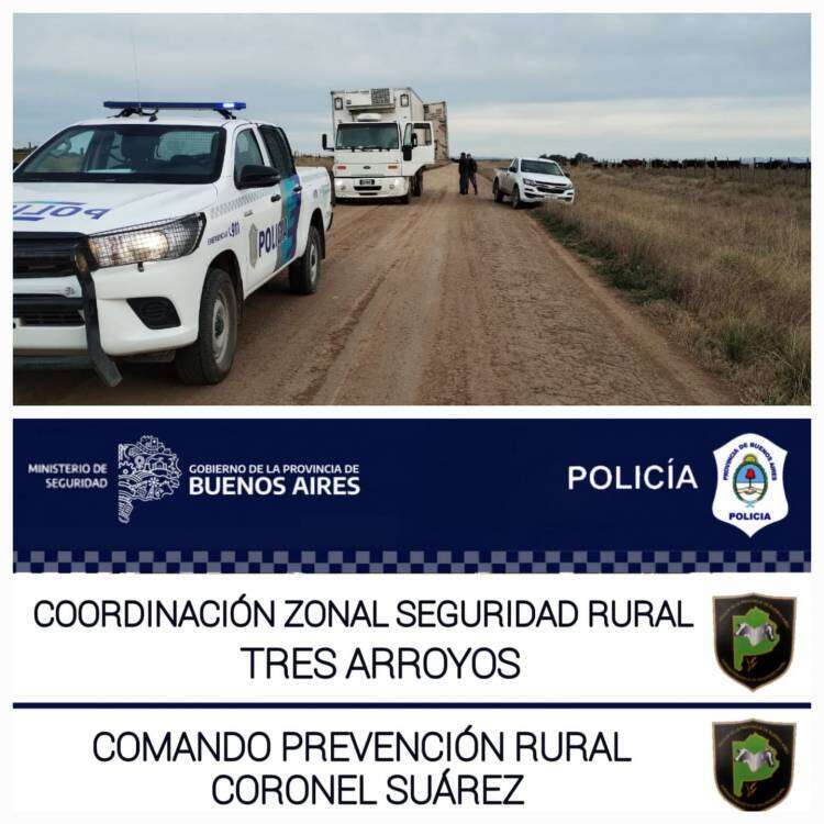 Decomisaron 20.000 kg de menudencias