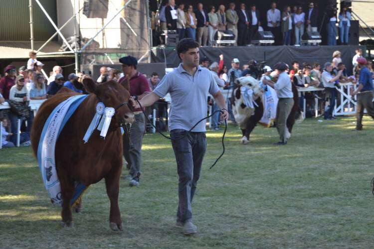Gran despliegue y excelente marco de público durante el acto inaugural y desfile de Grandes Campeones 