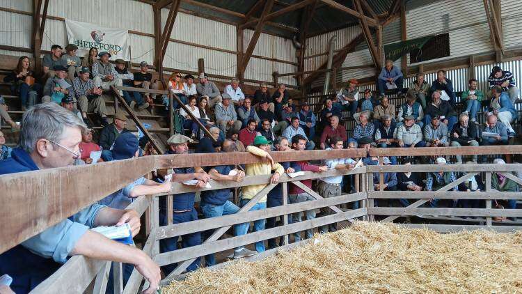 Remate a martillo corrido de la 105° Exposición Rural: las ventas superaron los 314 millones de pesos