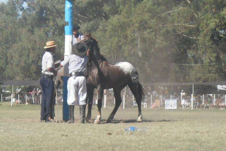 Tradición y cultura en una nueva edición de la Fiesta del Reservado en la Laguna Las Encadenadas