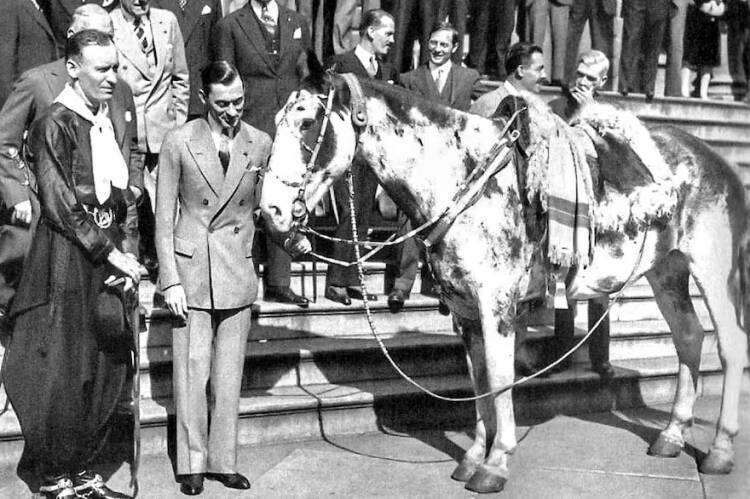 La épica de Mancha y Gato: los caballos criollos que cruzaron América hace 100 años