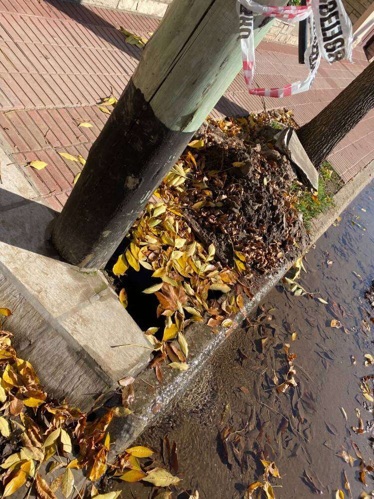 Pérdidas de agua corriente en Rivadavia al 700 sin solución