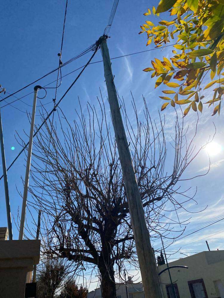 Pérdidas de agua corriente en Rivadavia al 700 sin solución