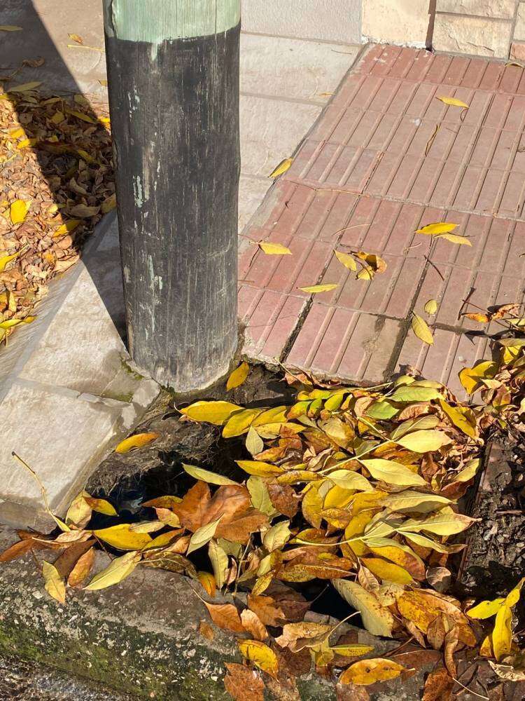 Pérdidas de agua corriente en Rivadavia al 700 sin solución