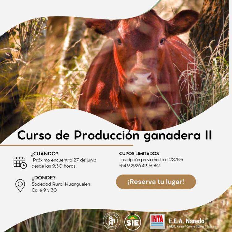 Curso de Producción Ganadera II