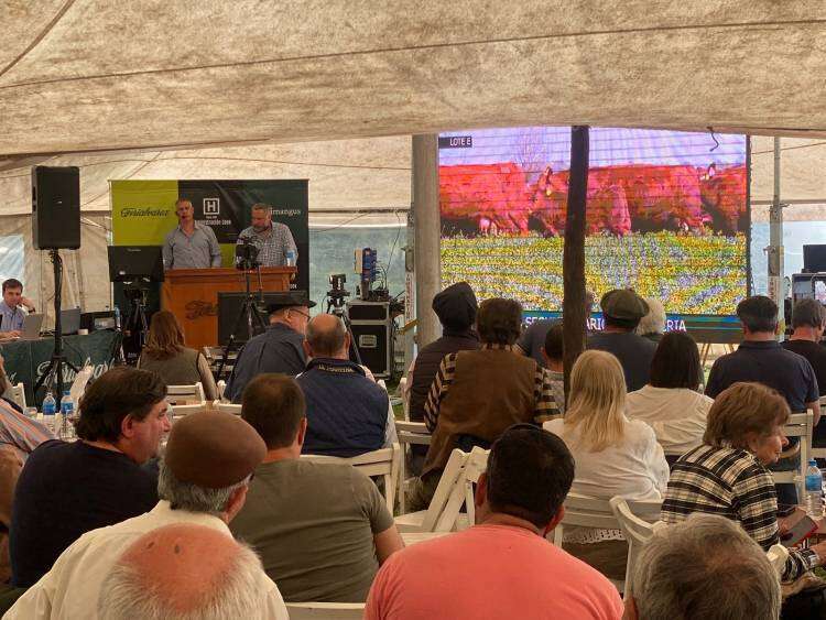 Horacio Cook: "LIMANGUS está con una gran expansión..."