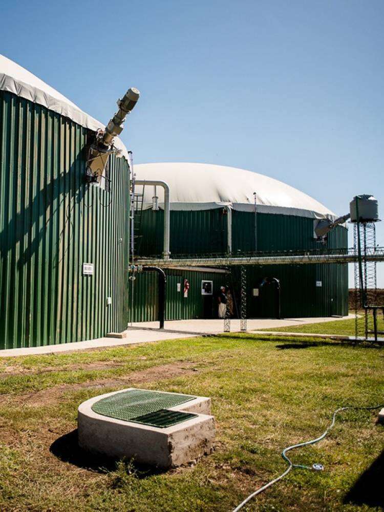 Agro de Souza es finalista del premio a la Excelencia Agropecuaria 2025