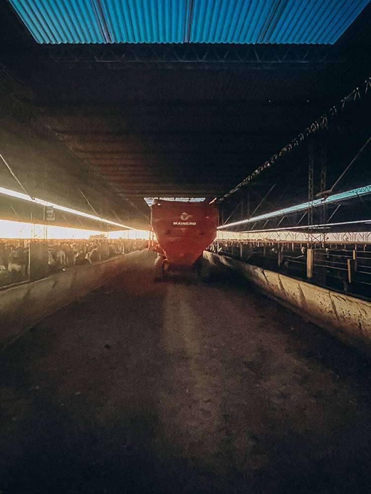 Agro de Souza es finalista del premio a la Excelencia Agropecuaria 2025
