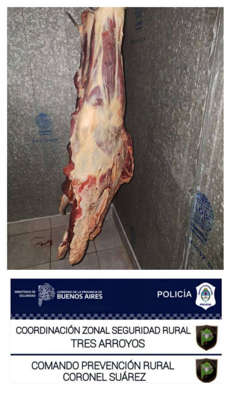 Inspección en Pueblo San José: secuestran carne sin sello sanitario en una carnicería local
