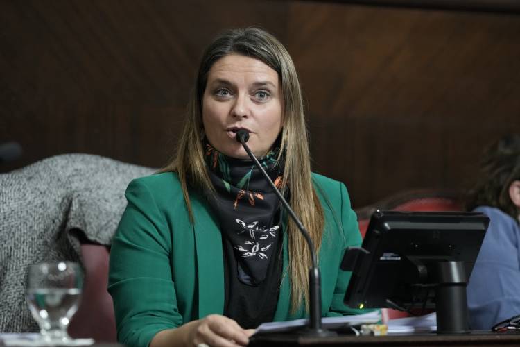 Piden incorporar al calendario escolar de la Provincia la Batalla de Carmen de Patagones