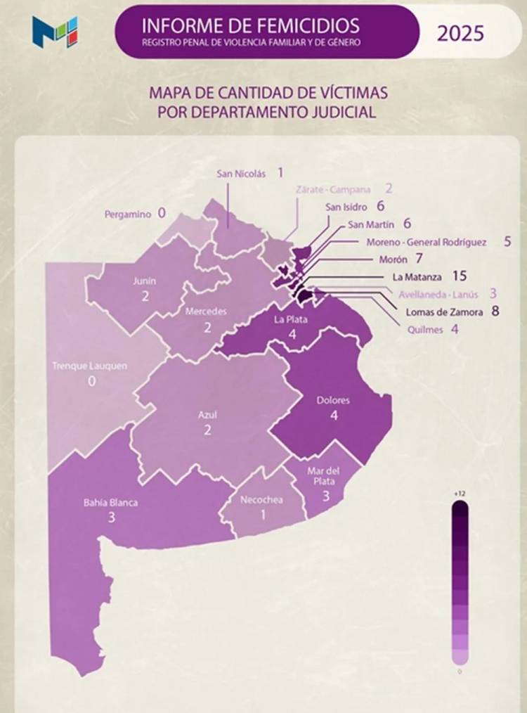Violencia de género en la Provincia: 146.000 causas y 78 femicidios en 2025