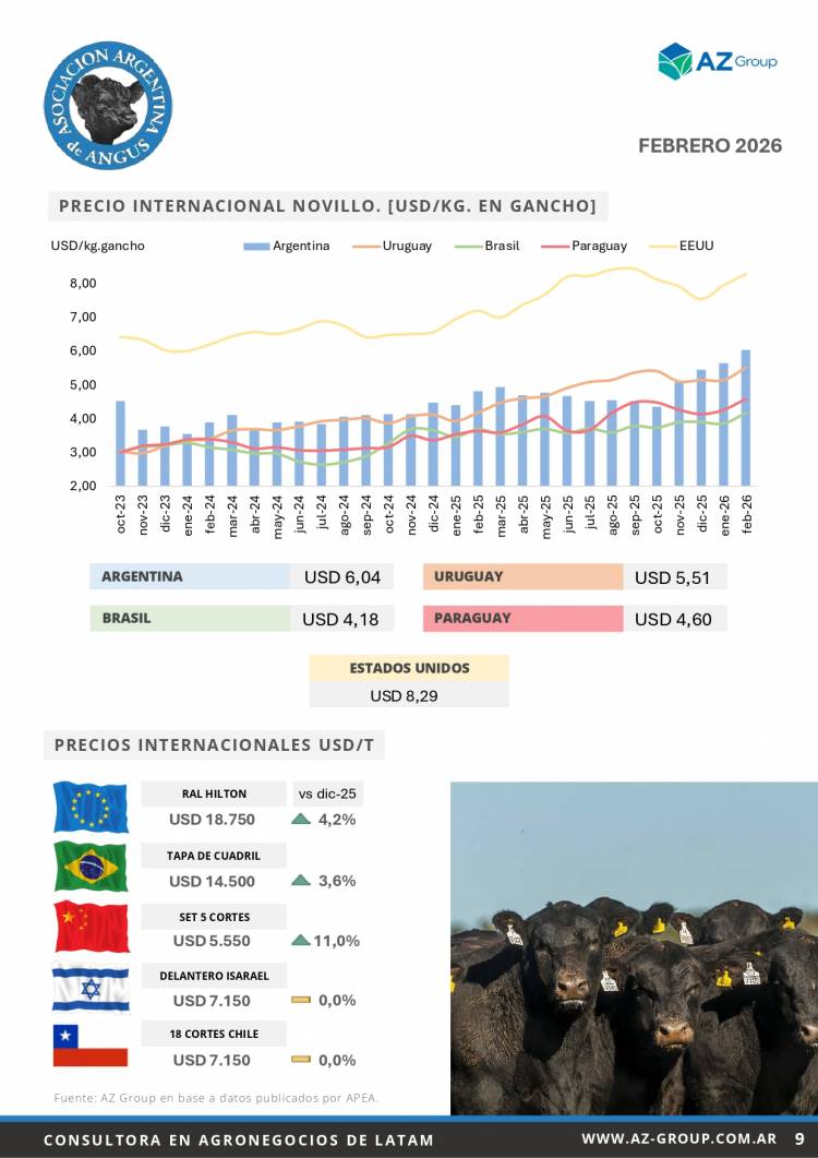 Informe Mensual Angus - Marzo 2026