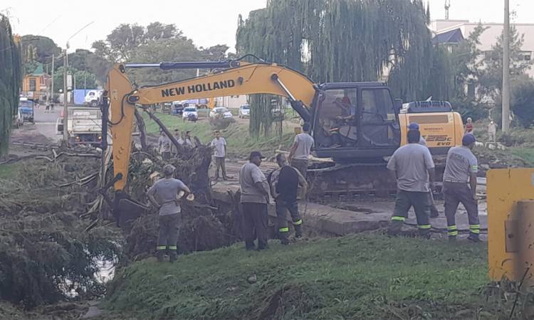Temporal en Sierra de la Ventana arrancó árboles de raíz que bloquearon la circulación del agua