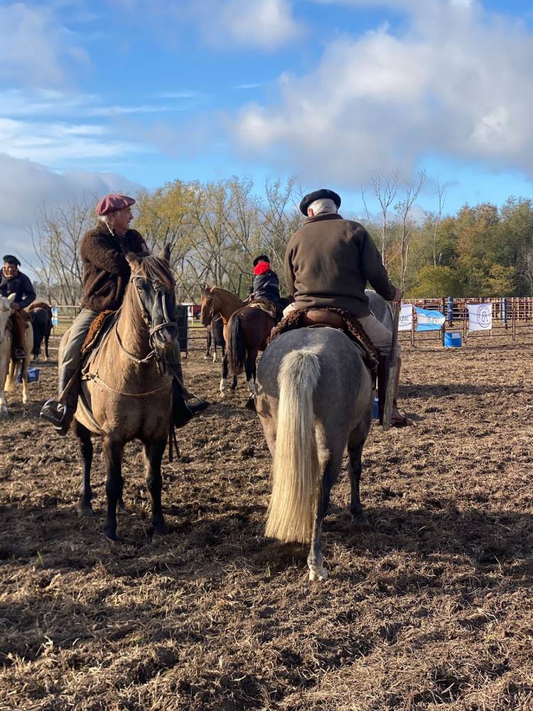 Se inauguró la pista de paleteada en la Sociedad Rural de Coronel Suárez.