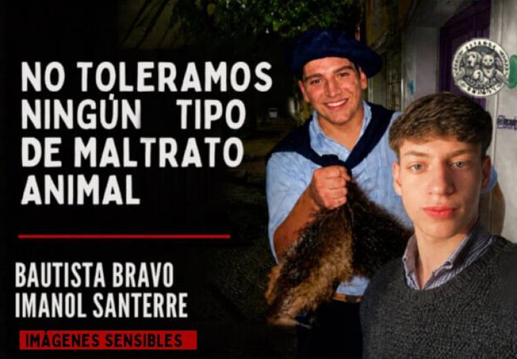 Indignación por maltrato animal en Bahía Blanca. “Buscamos que los expulsen de ambas universidades y que los declaren personas no gratas”