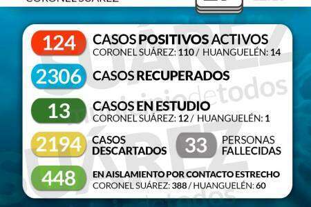 Situación de COVID-19 en Coronel Suárez - Parte 291 - 29/01/2021 12:15