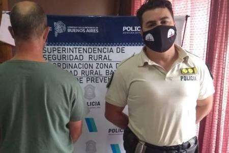 Participaba de un remate y descubrió que vendían sus propias vacas