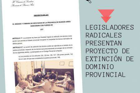 Legisladores Radicales presentan Proyecto de Extinción de Dominio Provincial