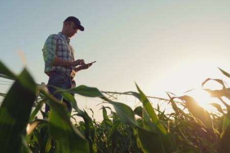 Una app que permite mejorar la producción agropecuaria usando información satelital, técnicas de big data y machine learning