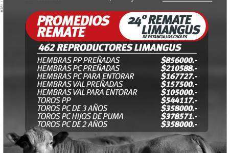 Resultados del 24º remate Limangus de Estancia Los Choles