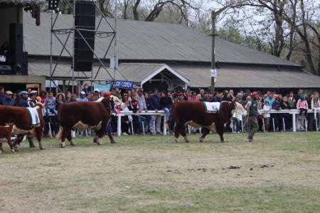 102º Exposición de Ganadería de Coronel Suárez: cambios en los horarios de admisión y jura, y un evento con la Bolsa de Cereales de Bahía Blanca